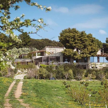 Masseria Agriturismo Torre Di Albidona Trebisacce Exteriér fotografie