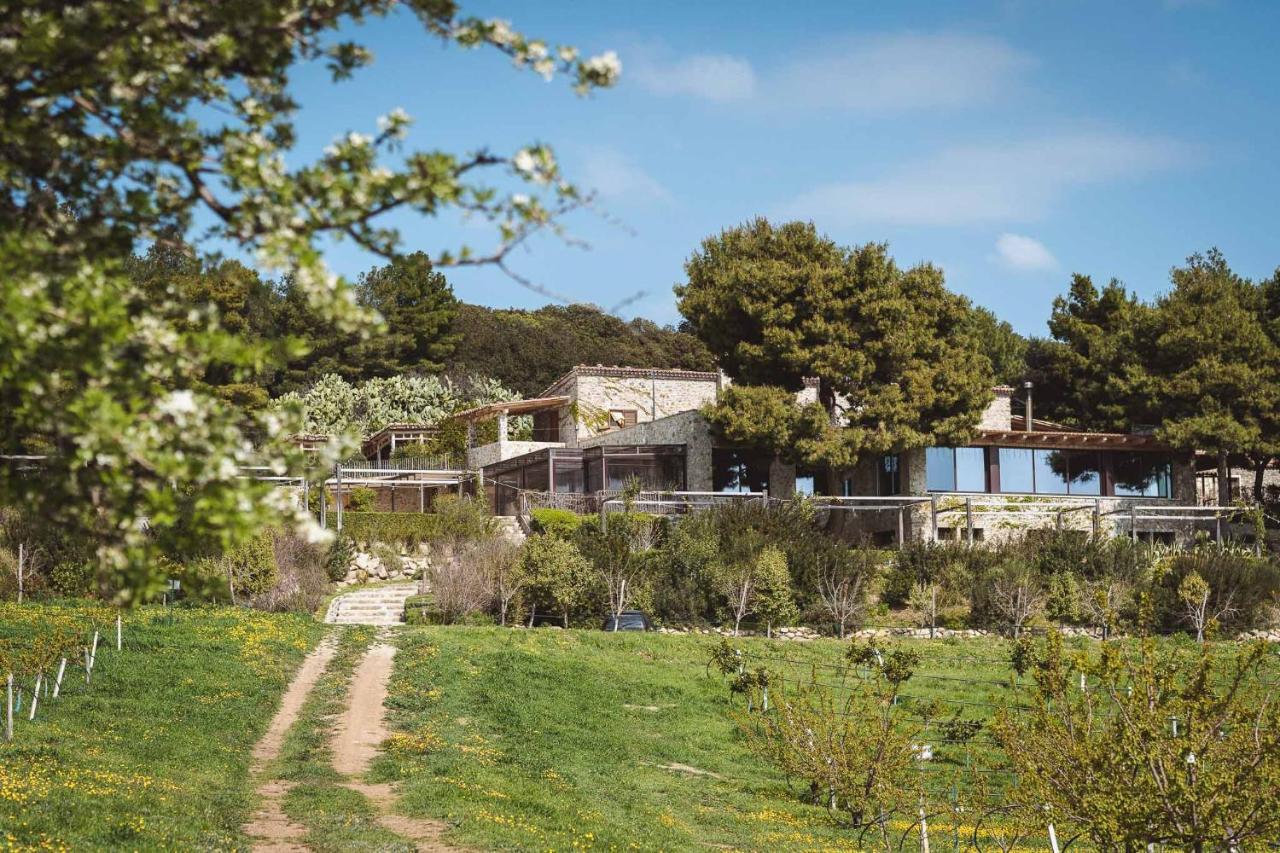 Masseria Agriturismo Torre Di Albidona Trebisacce Exteriér fotografie