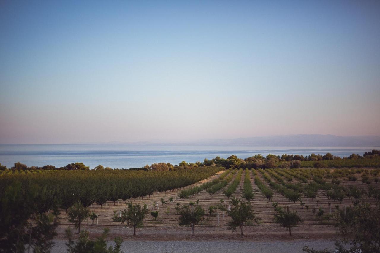 Masseria Agriturismo Torre Di Albidona Trebisacce Exteriér fotografie