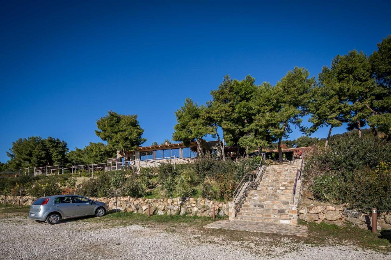 Masseria Agriturismo Torre Di Albidona Trebisacce Exteriér fotografie