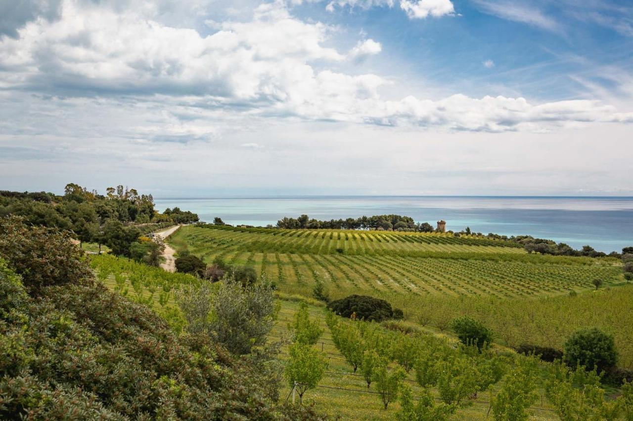 Masseria Agriturismo Torre Di Albidona Trebisacce Exteriér fotografie