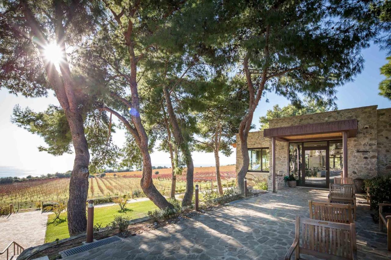 Masseria Agriturismo Torre Di Albidona Trebisacce Exteriér fotografie